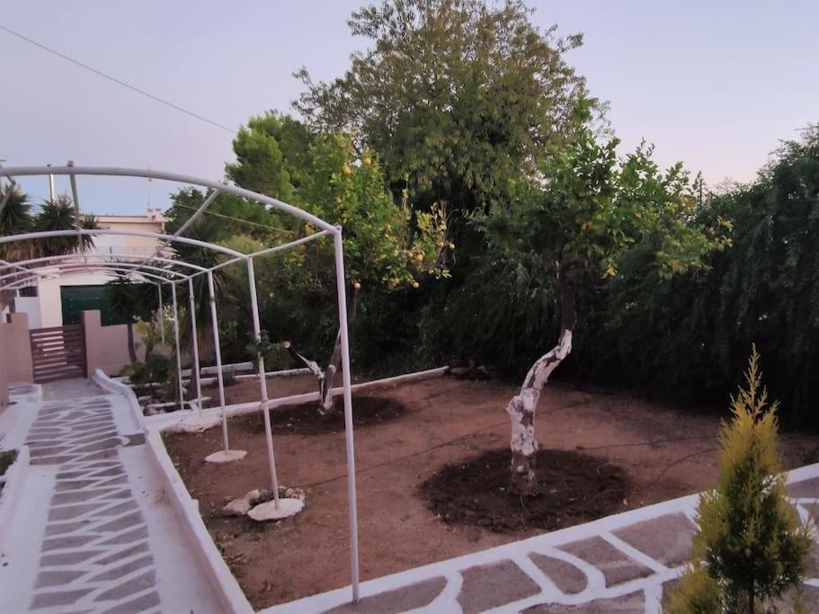 Penthouse Studio Next To The Sea Salamina Exterior photo